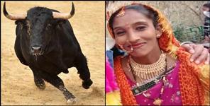 image: Haldwani Komla Bhuri village Bull kills Deepa Devi