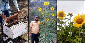 image: Pooran Bhatt Self Employment Almora