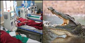 image: Crocodile attacked woman in Sitarganj