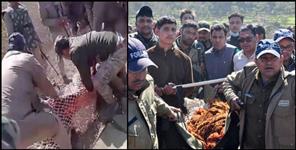 image: The leopard who attacked 9 people in Srinagar was killed