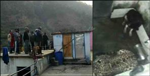 image: tehri garhwal leopard and dog locked in bathroom