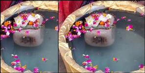 image: Ram Sethu stone in Haridwar Mahakumbh
