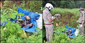 image: Husband murdered his wife on suspicion of illegal relations