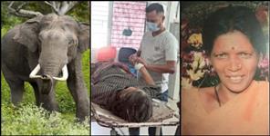image: Elephant attack on woman in Kotdwar
