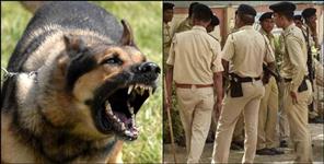 image: Pet Dog attack on police team in haridwar