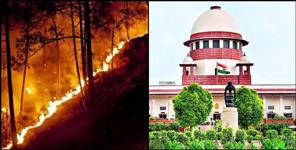 image: Hearing in the Supreme Court on fire in the forests of Uttarakhand
