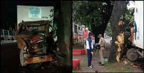 image: Car hadsa tree near ima in dehradun