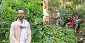 image: Vriksh Purush Kishan Malda planted 10 lakh Trees for Birds