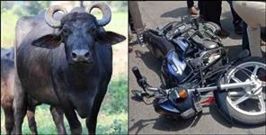 Thieves fled leaving bike phone in Haridwar Jwalapur