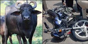 image: Thieves fled leaving bike phone in Haridwar Jwalapur
