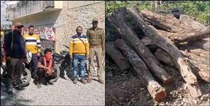 image: Priceless wood smuggler Sukha  arrested in Nainital