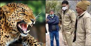 image: Leopard hunted villager in Pasar village of Tehri Garhwal