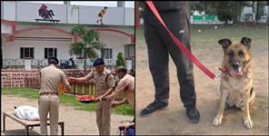 image: Doggy Princess of Dehradun Police passes away