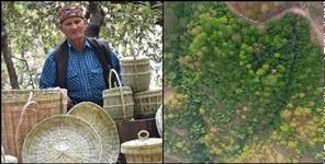 image: Story of Jagat Singh Junglee of Rudraprayag