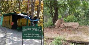 image: Uttarakhand Land Jihad CM Dhami strict action