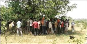 image: dead body found in tree in haridwar laxar