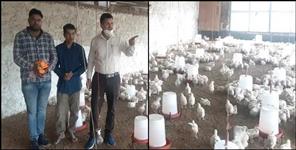 image: Poultry farming yogendra negi ravindra negi and virendra negi tehri garhwal