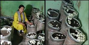 image: Hema Ethani Uttarakhand Police Mushroop Manufacturer
