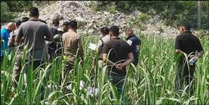 image: Woman dead body found in Udham Singh Nagar Bajpur farm