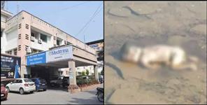 image: dead body of child in toilet of dehradun coronation hospital
