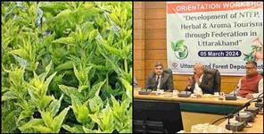 image: Herbs will be grown in 10 thousand hectares of land in uttarakhand