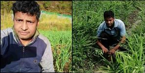 image: Mahendra Bisht of Chamoli Left Job and Start Farming Earning Good Money
