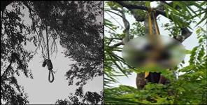image: Dead body of foreign national found in Rishikesh