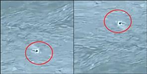 image: Nepali workers jumped in kali river
