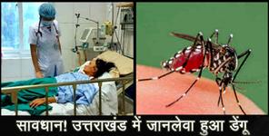 image: dengue virus in uttarakhand