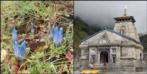 image: Neelkamal in Kedarnath