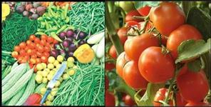 image: uttarakhand cheap tomato in four counter