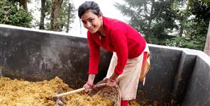 image: Soni bisht cultivated mushroom in pauri