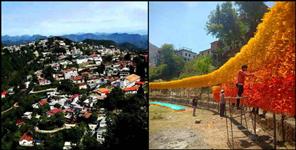 image: mussoorie wall of hopes