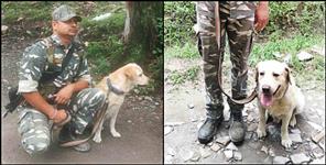 image: CRPF DOG found man trapped under debris