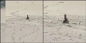 image: Villager trapped in swamp of Tehri lake in Chinyalisaur