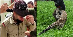 image: Coronavirus Uttarakhand:Leopard enters in school rishikesh