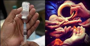 image: Rabies injection was given to 184 people in Udham Singh Nagar