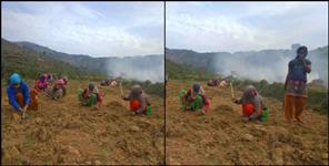 image: Pauri garhwal women good work for self employment
