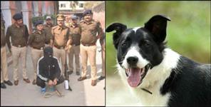 image: man killed pet dog in kashipur uttarakhand