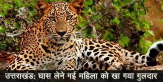 image: leopard attack on women in bindukhatta uttarakhand