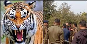 image: Villagers angry after death of woman in tiger attack