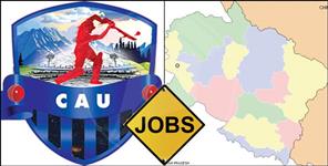 image: Cricket Association of Uttarakhand inviting job applications