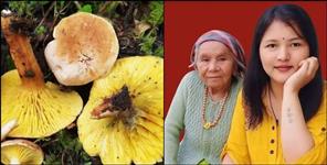 image: Two died after eating wild mushrooms