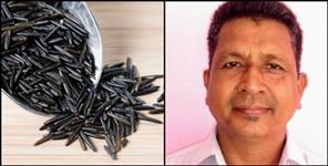 image: black rice farming first time in Uttarakhand