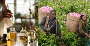 image: First Govt Perfume Lab to Built in Uttarakhand