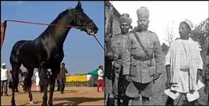 image: Story Kashipur chaiti fair sale of horses and Sultana daakoo