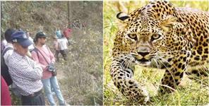 Leopard Killed Youth In Rudraprayag Dead Body Found On Third Day