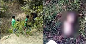 image: Newborns body found in the forest of Tanda Udham Singh Nagar