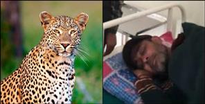 image: Youth fought with leopard in pauri garhwal