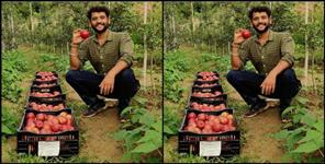 image: Gaurav Sharma of Mukteshwar started apple cultivation